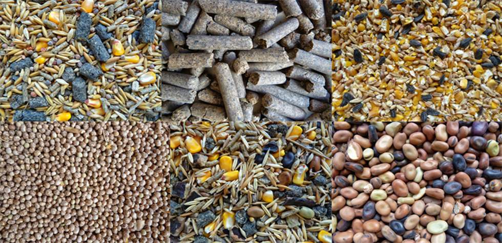 Nuestros Productos